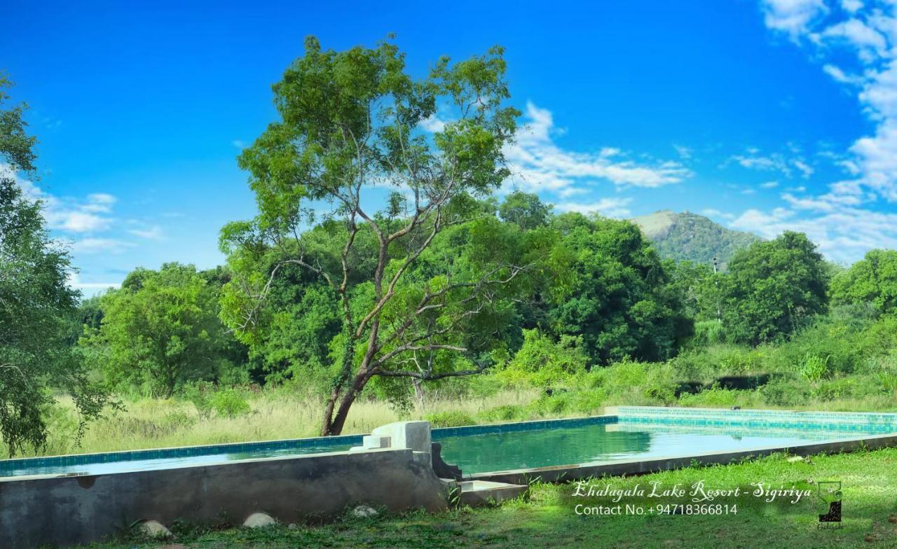 Ehalagala Lake Resort Sigiriya Esterno foto
